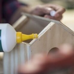 Ξυλόκολλες